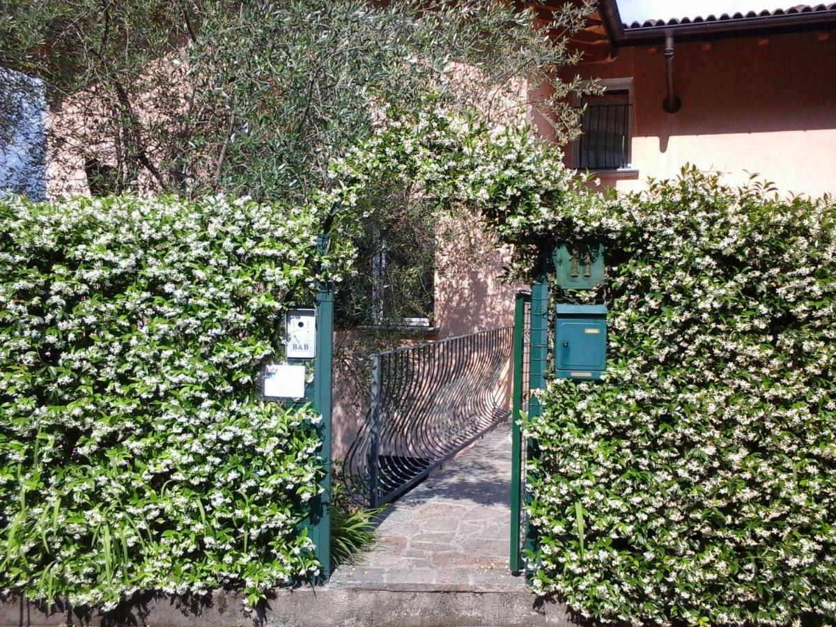 B&B L'Erica Onno Bagian luar foto